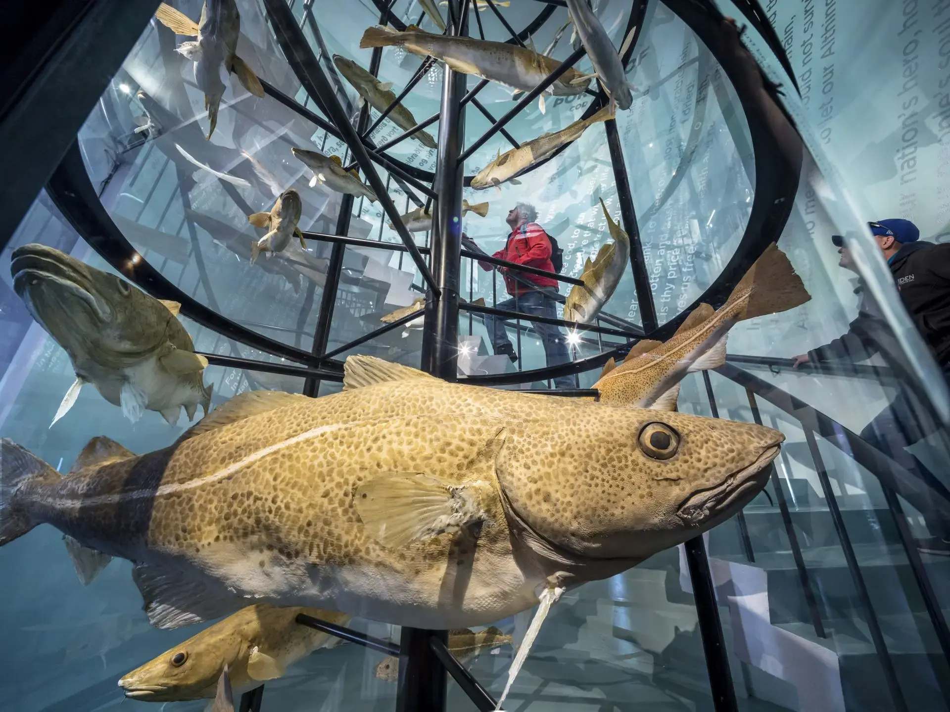 Maritime Museum – Reykjavik
