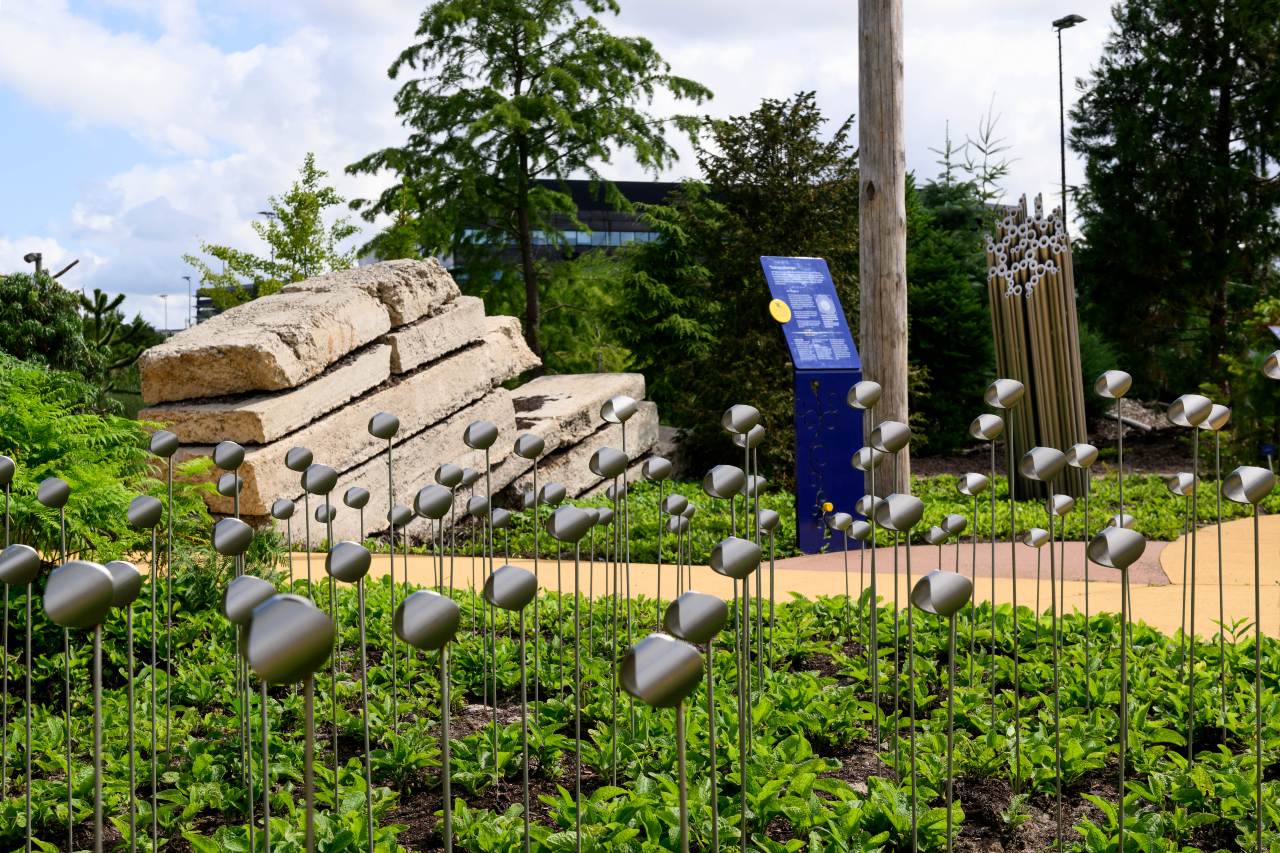 Botanische Tuinen Universiteit Utrecht – Evolutietuin